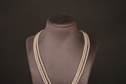 Pushpa Longchain(KL21) - Pure Allure