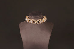 Renukha Choker Set(PC83) - Pure Allure
