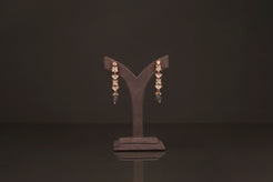 Poorva Necklace Set(PN20) - Pure Allure